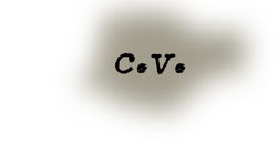 Curriculum Vitae